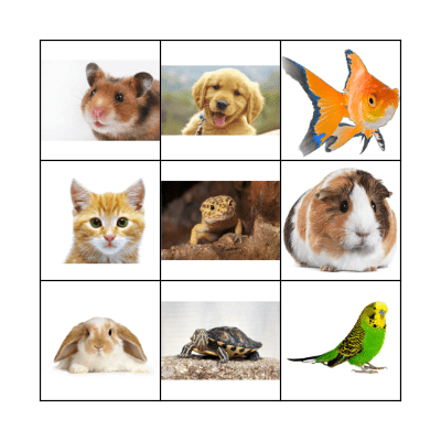 Animal Bingo Card