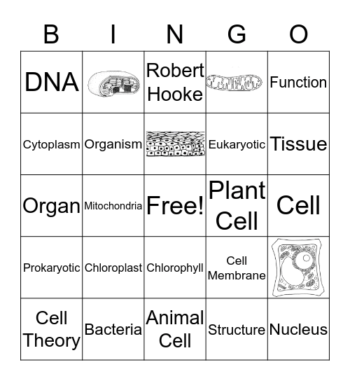 Cell Bingo Card