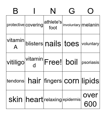 heat heat  Bingo Card