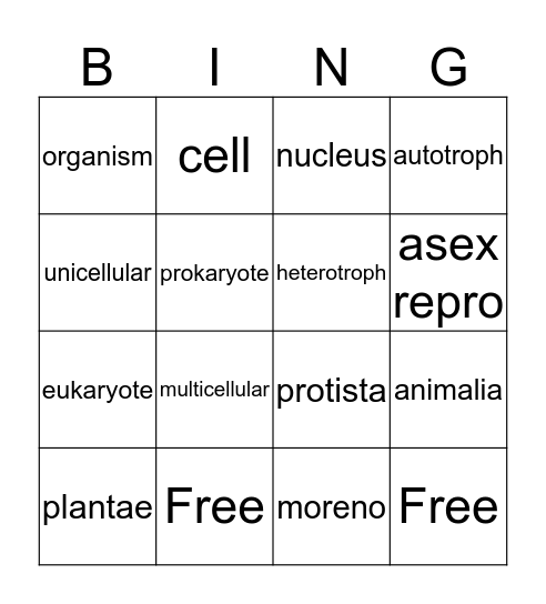 Diego-el-sapo Bingo Card