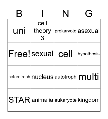 STAR Bingo Card