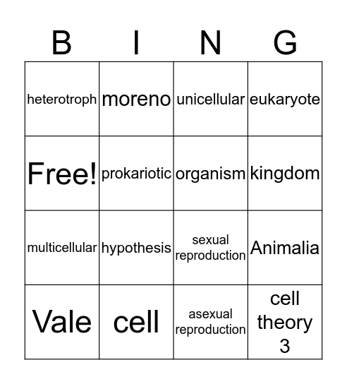 Vale Bingo Card