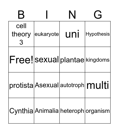 Cindy Bingo Card