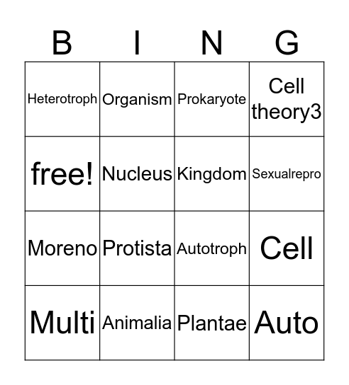 Rigo Bingo Card