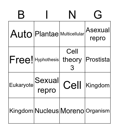 Angelina Bingo Card