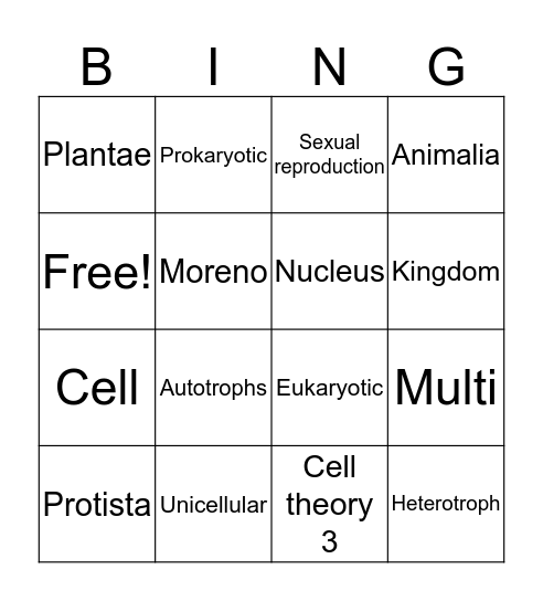 MarioCantu Bingo Card