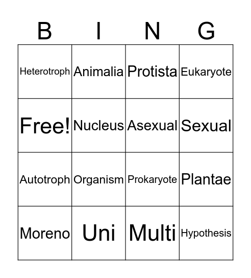 Melissa Bingo Card