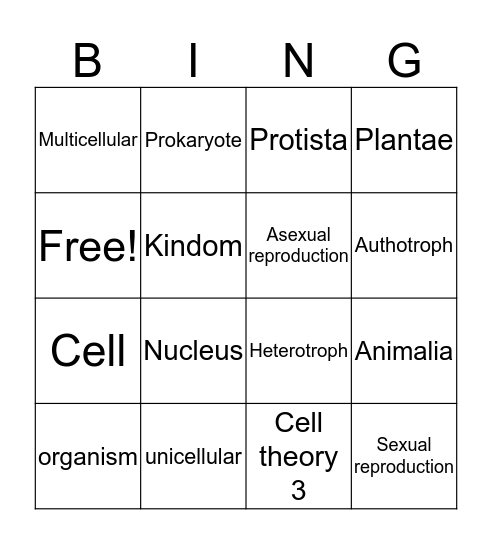 Antonio Bingo Card