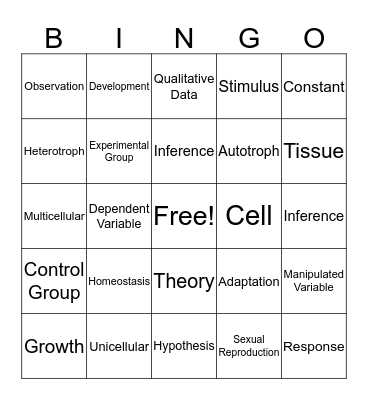 Chapter 1 Bingo Card