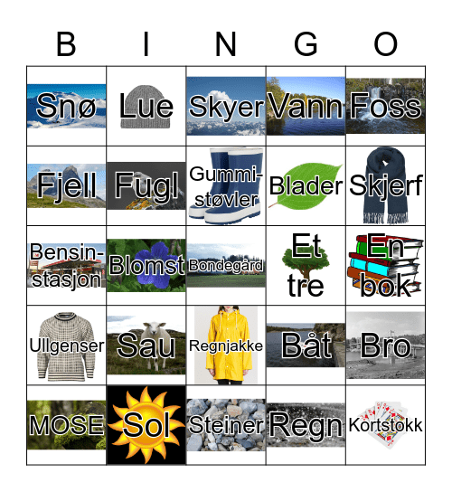 Bingo for leirskolen Bingo Card