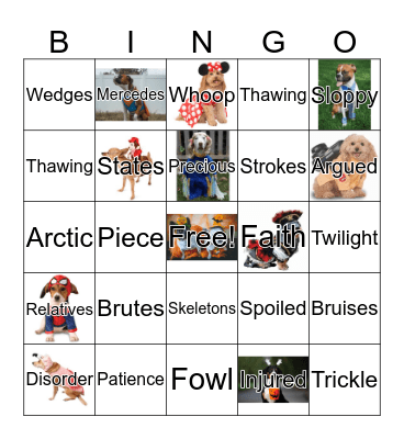 Call of the Wild Ch. 6 Bingo Card