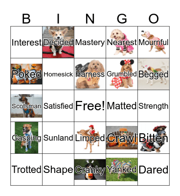 Call of the Wild Ch. 5 Bingo Card