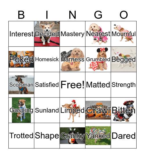 Call of the Wild Ch. 5 Bingo Card