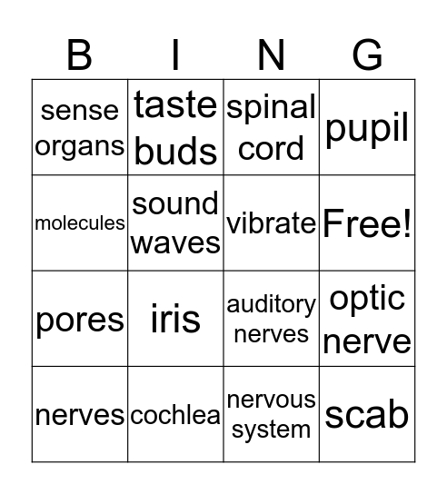 Science Chapter 1 Bingo Card
