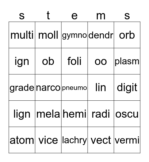 stem 20 bingo Card