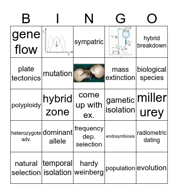 Exam 1 Review Bingo Card