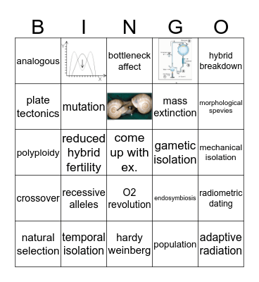 Exam 1 Review Bingo Card