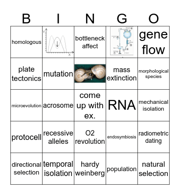 Exam 1 Review Bingo Card