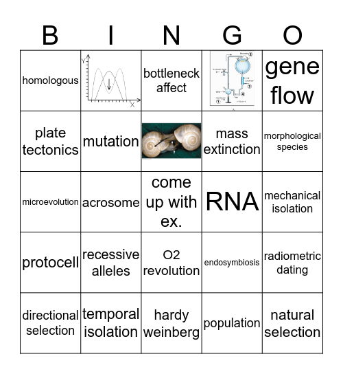 Exam 1 Review Bingo Card