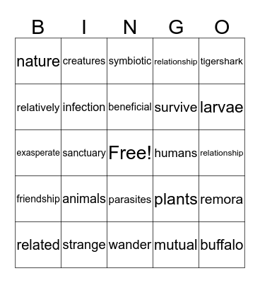 Friends or Foes? Bingo Card