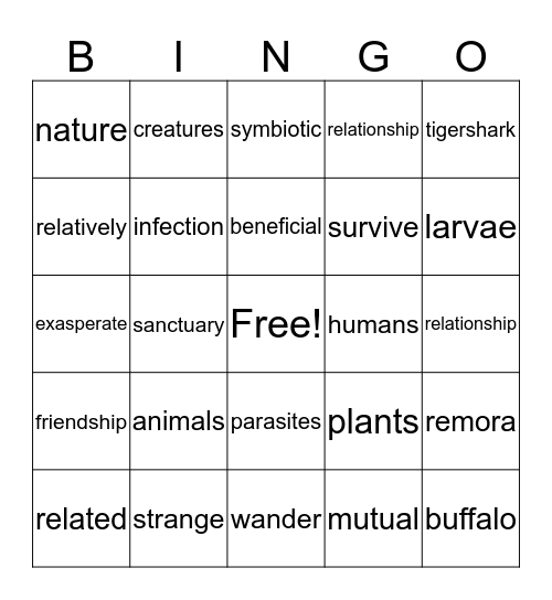 Friends or Foes? Bingo Card