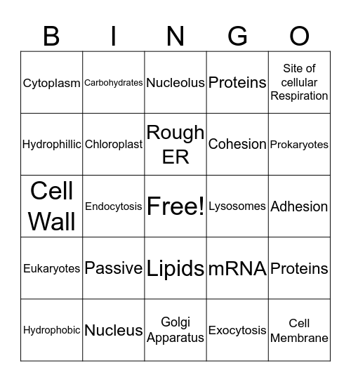 Organelle Bingo Card