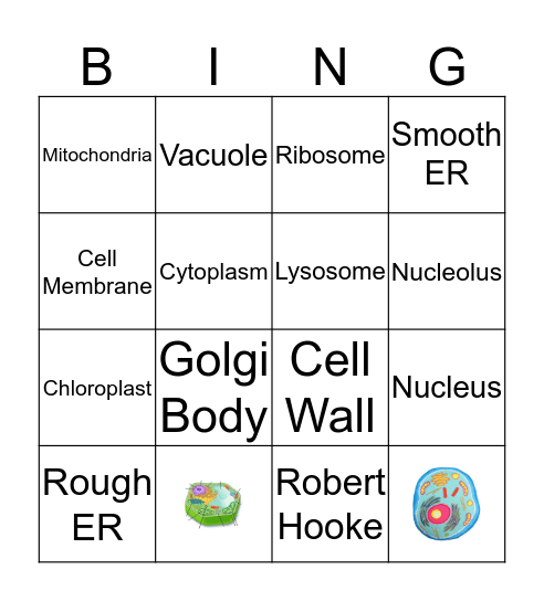 Cell Bingo Card