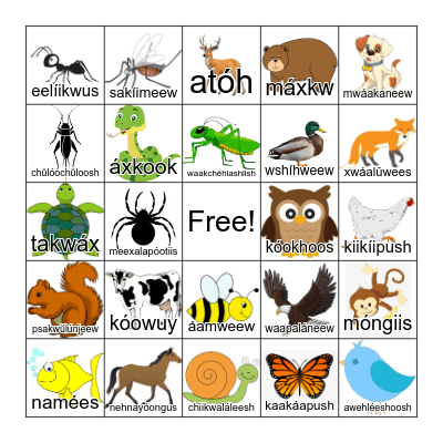 Lunaapeew Animal Bingo Card