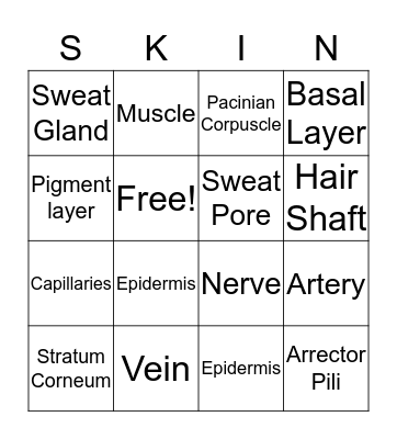 Integumentary system Bingo Card