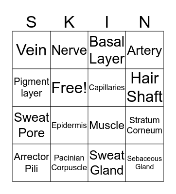 Integumentary System Bingo Card