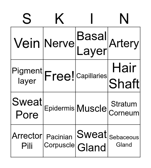 Integumentary System Bingo Card