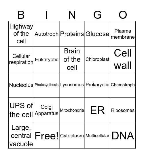 Cell Structure and Function  Bingo Card