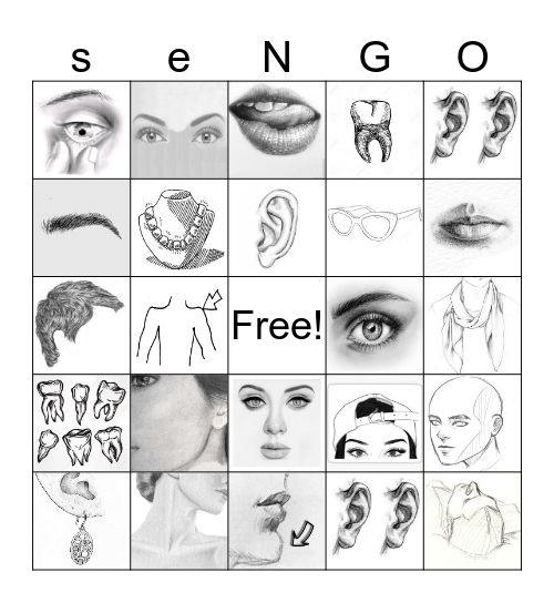 Sengo Bingo Card