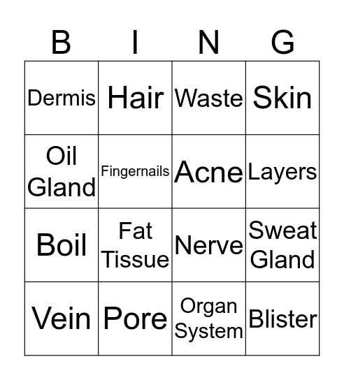 Integumentary System Bingo Card