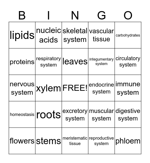 Body Systems and Some Other Stuff :) Bingo Card