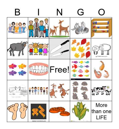 Irregular Plurals Bingo Card