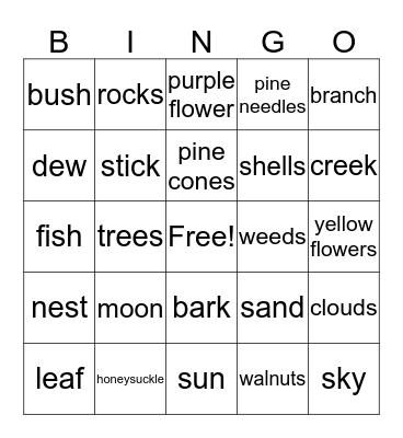 Nature Bingo Card