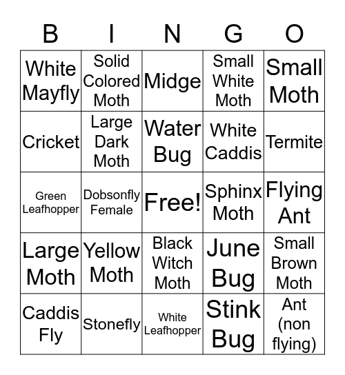 Bug Bingo Card