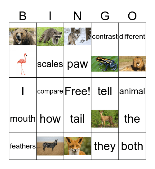 Animal BINGO Card
