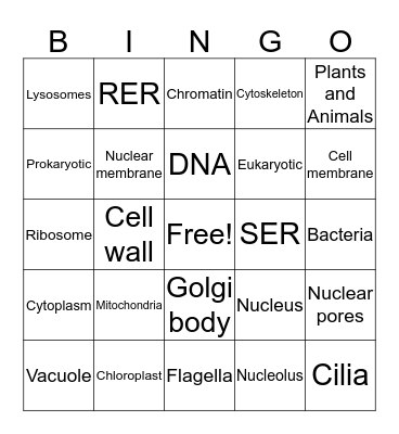 Cell Organelles Bingo Card