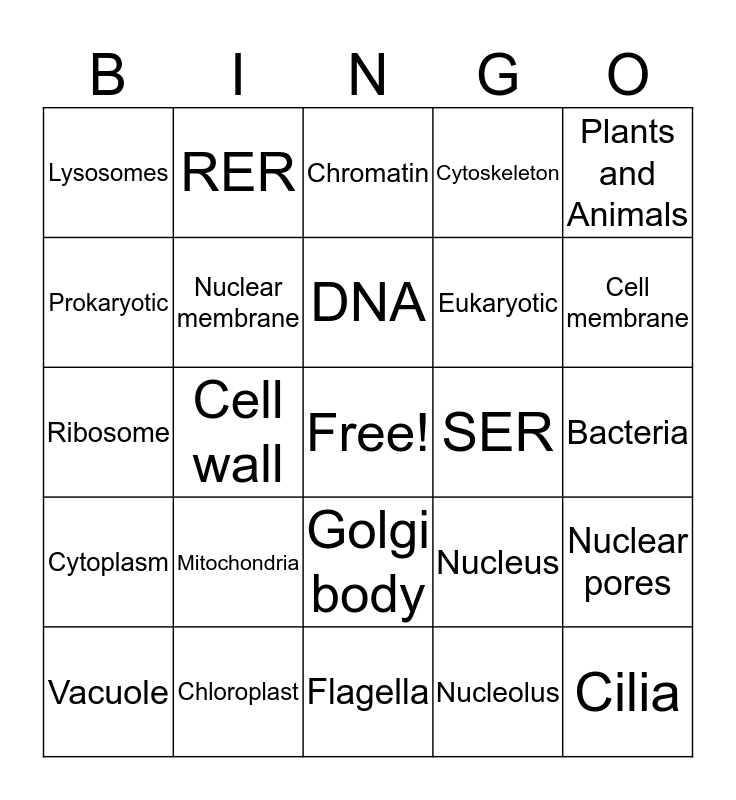 Cell Organelles Bingo Card