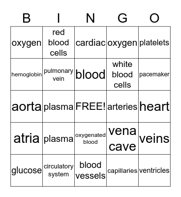 Circulatory System Bingo Card