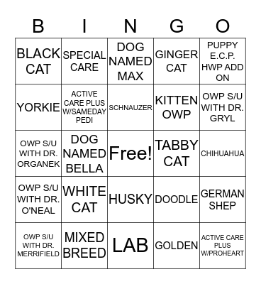 OWP BINGO Card