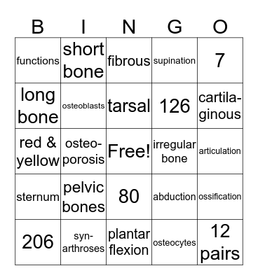 Skeletal System Bingo Card