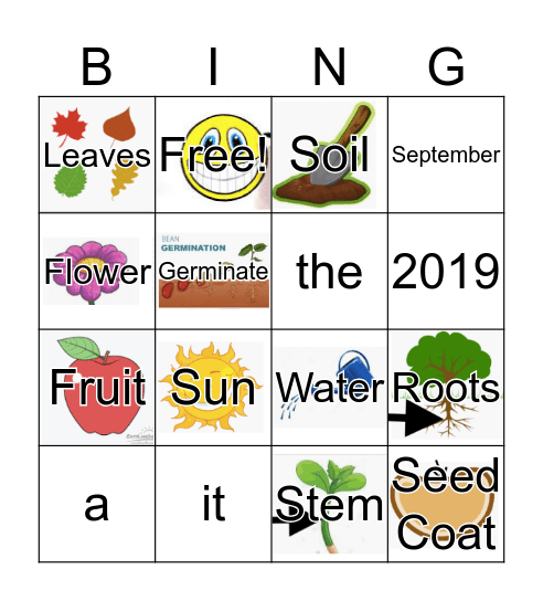 Plant Bingo Card