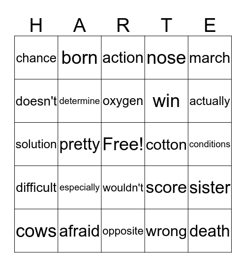 Mr. Christian's Bingo Extravaganza  Bingo Card