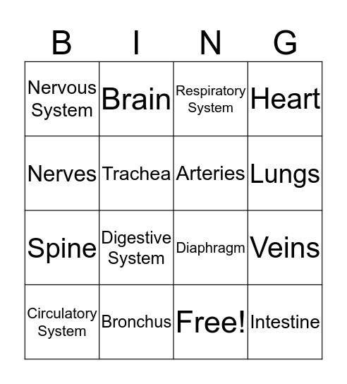 Body Systems Bingo Card