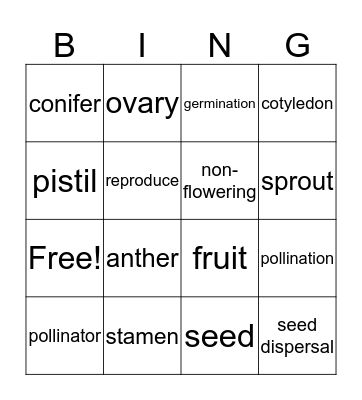 Reproduction of Flowering and Non-Flowering Plants Bingo Card