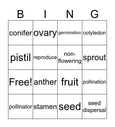 Reproduction of Flowering and Non-Flowering Plants Bingo Card