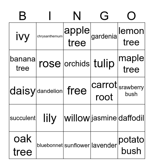 plant bingo  Bingo Card